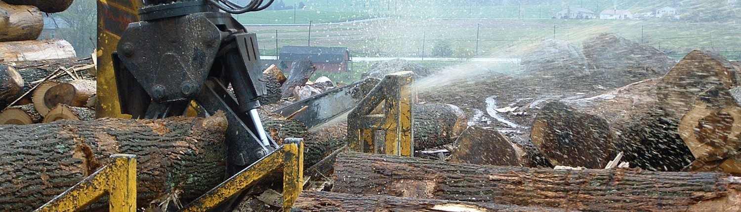 Sawing Logs for Lumber