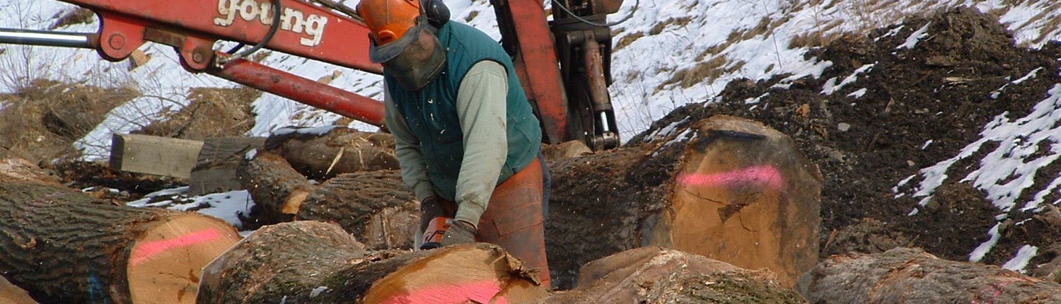 Cutting Hardwood Lumber